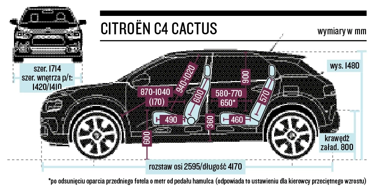 Gabaryty oraz wymiary wewnętrzne C4 Cactusa