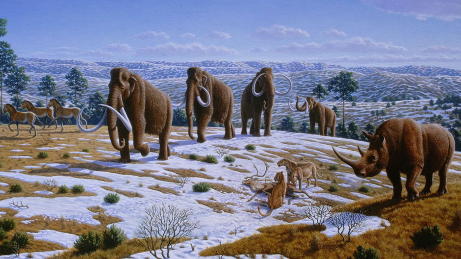 Mamuty i inne zwierzęta epoki lodowej. Zdjęcie ilustracyjne