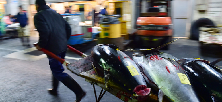 Przeprowadzka słynnego targu rybnego Tsukiji w Tokio jeszcze nie w tym roku