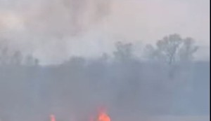 Požar niskog rastinja između Pojata i Kruševca