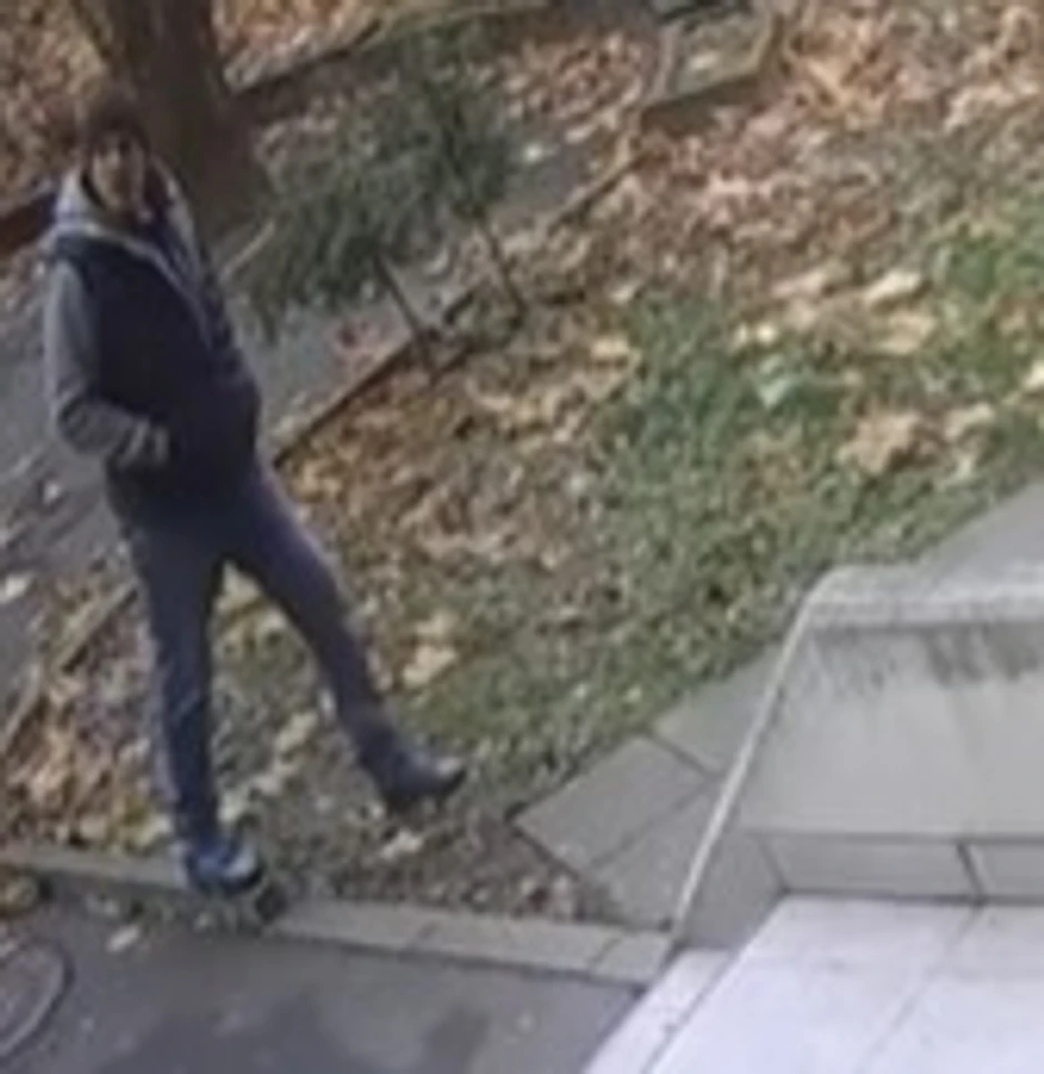 Napadač sa Novog Beograda 