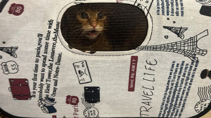 Spasavanje Vladislava Dude i Breskvice