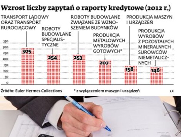 Wzrost liczby zapytań o raporty kredytowe (2012 r.)