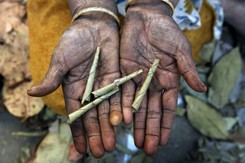 Zawijają papierosy i umierają na płuca. FOTOREPORTAŻ