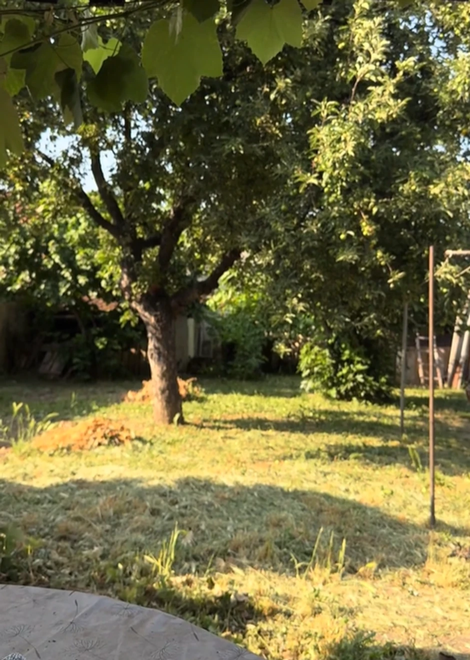 Nova kuća Dejana Dragojevića