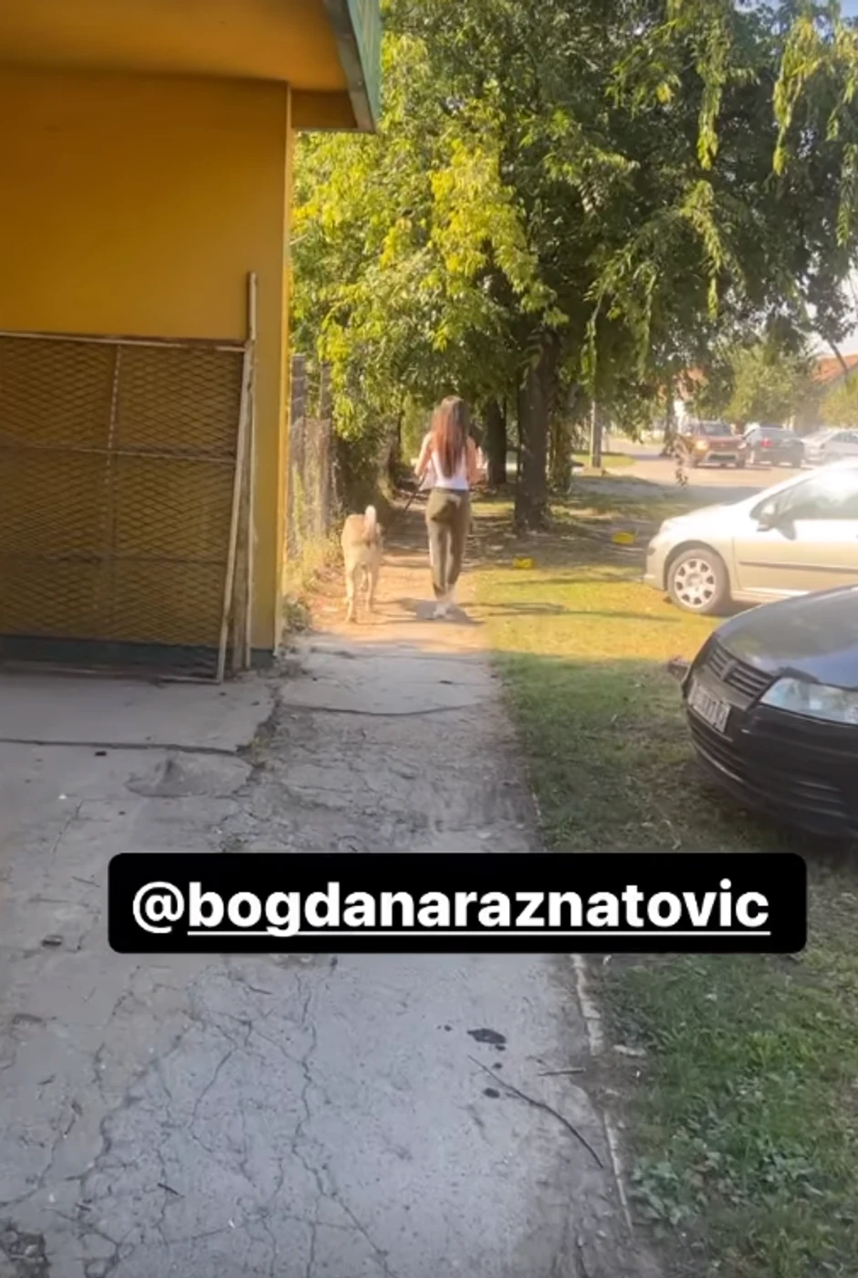 Veljko Ražnatović krišom snimao Bogdanu