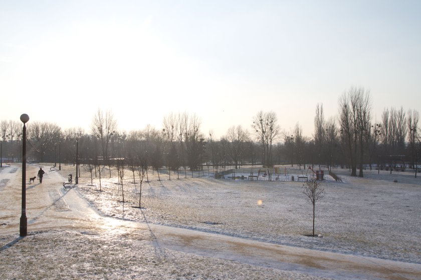 Park Kasprowicza w Poznaniu