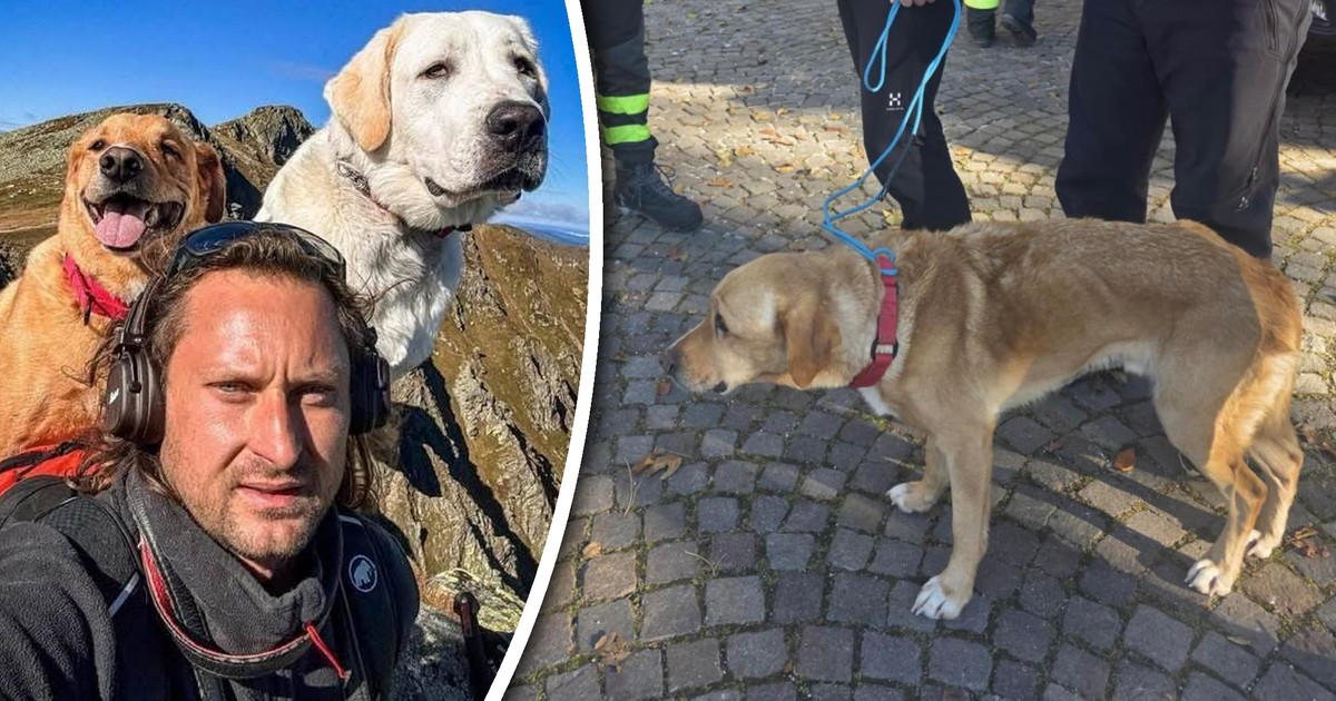 Poszukiwania zaginionego Polaka i jego psa we Włoszech. "Sytuacja staje się coraz trudniejsza"