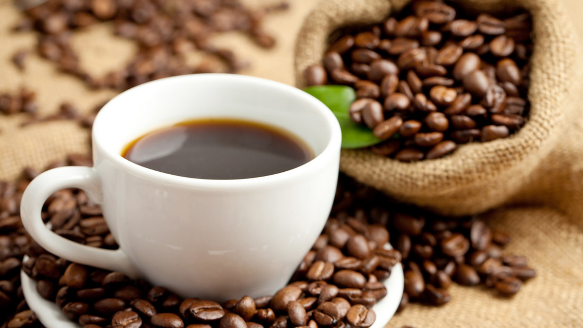 Kawa Robusta czy arabika - dla kawowego laika to nic niemówiące nazwy. Określają one nie tylko gatunek kawowca. Można z nich również odczytać, jaki smak będzie miała mała czarna.