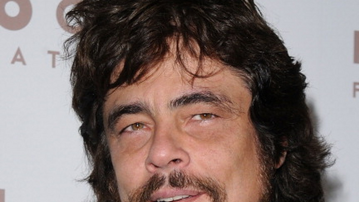 Benicio Del Toro zagra jedną z głównych ról w filmie "How the Light Gets In".