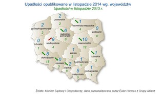 Raport o bankructwach firm w Polsce. Zobacz najnowsze dane [MAPA]