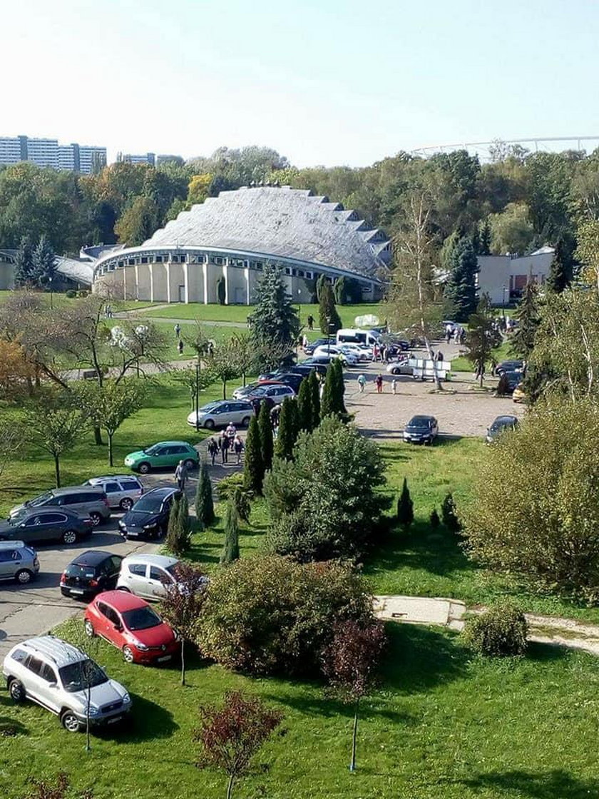 Katowice. Park Śląski stratowany przez parkujące samochody