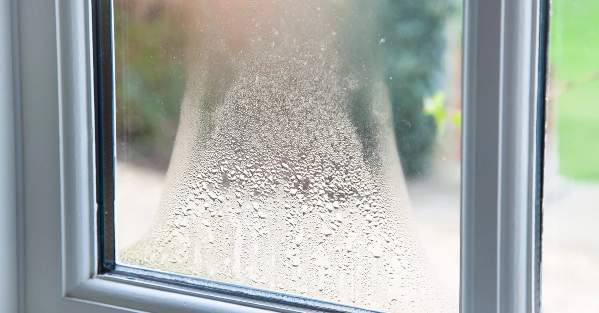 Postaw tę przyprawę na parapecie. Rozwiąże problem z zaparowanymi szybami