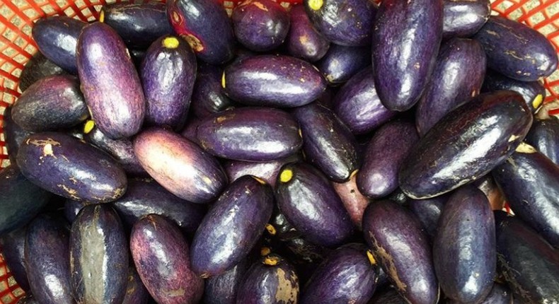 Ube: Health benefits of African or bush pear