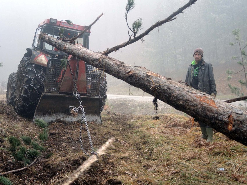 Traktor može da se zanese, drvo da udari: U njegovom poslu, kaže Milun, uvek vreba opasnost