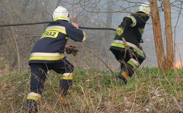 112 pożarów w dwa majowe dni. Średnie i duże zagrożenie w większości lasów w Polsce