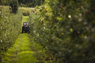 Czy CETA jest bezpieczna dla polskiego rolnictwa?