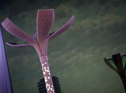 Uliczne latarnie niczym kwiaty na łące