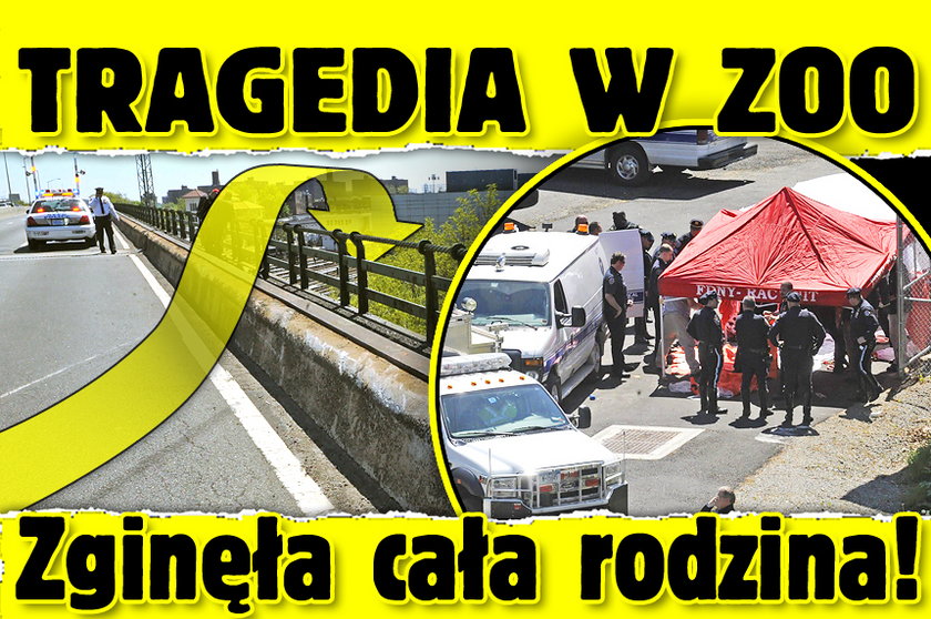 Tragedia w zoo. Zginęła cała rodzina!