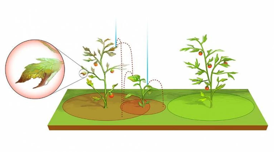 Istraživanje će pomoći da se bolje isplaniraju troškovi i na minimum svede šteta nastala od biljnih bolesti