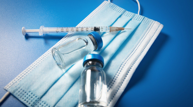 Az EMA szerint az mRNS-vakcinák biztonsággal alkalmazhatók terhesség alatt is / Illusztráció: Pixabay