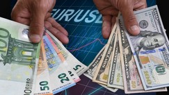 Rast evra u odnosu na dolar 