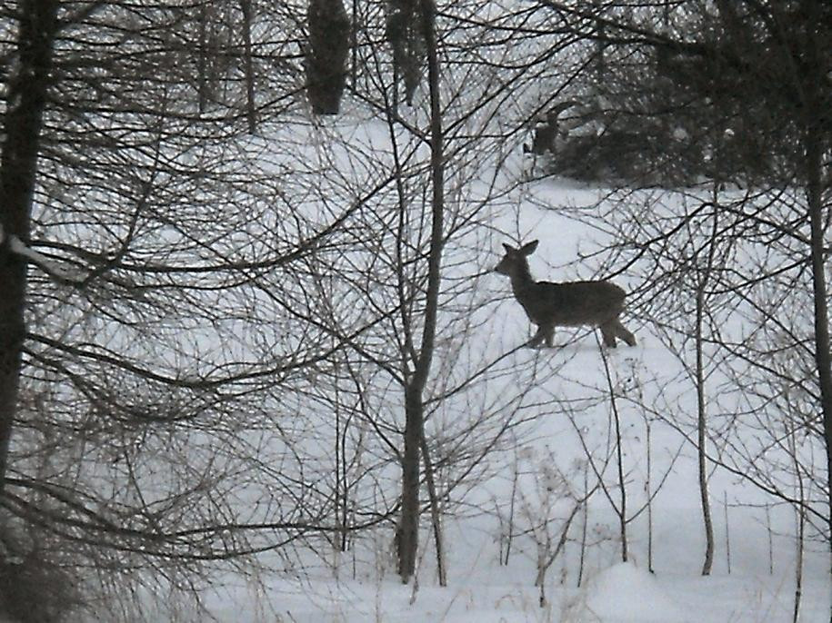 Beskid Niski, Fot. Jan/Daj znać!