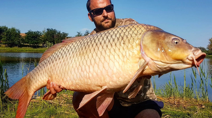 Németh Szabolcs is sikerrel lógatta a botját