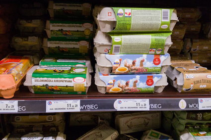 Produkty rolne podrożeją o 100 proc. Bank BGŻ BNP twierdzi, że "czeka nas kryzys żywnościowy"