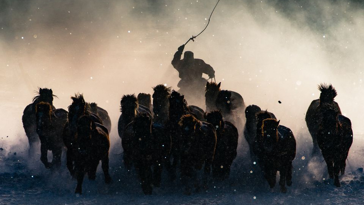 "Winter horseman" (pol. Zimowy jeździec), Anthony Lau