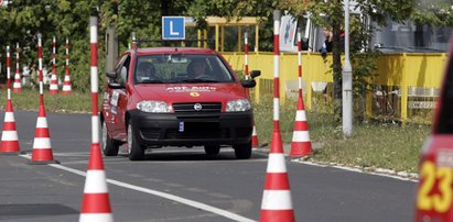 Prawo jazdy za łapówki. Aresztowania w Lublinie