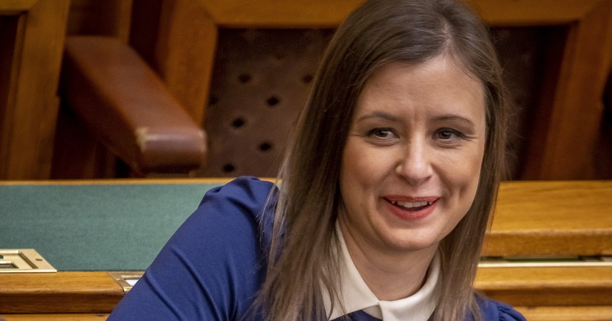 A „legesélyesebb jelöltet” indítja a Mi Hazánk Potápi Árpád János képviselői pozíciójára