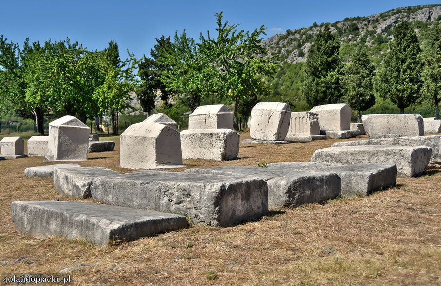 Stecci / nekropolia Radimlja, Stolac