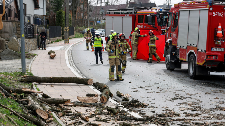 Tragiczne skutki wichury w Zakopanem. Drzewo spadło na jadący samochód