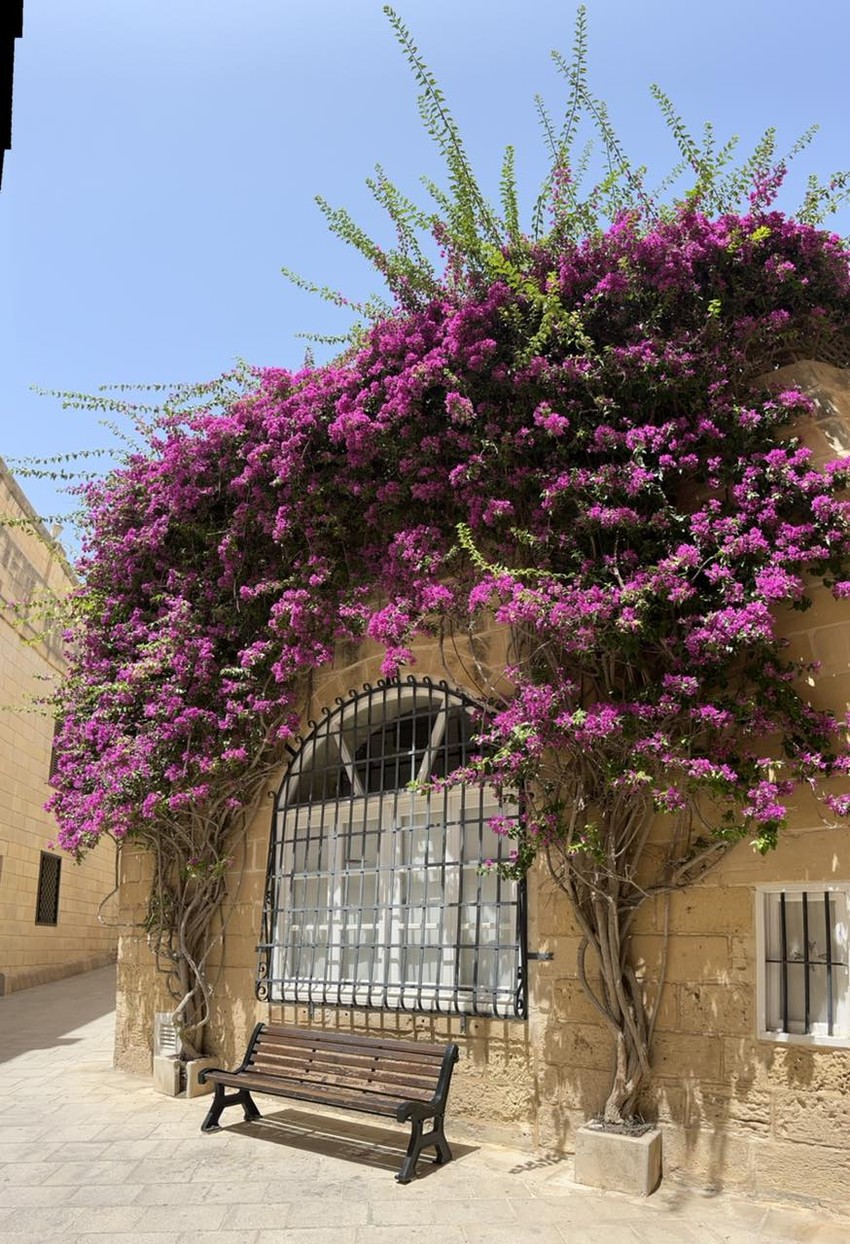 Malta, letovanje