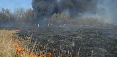 Olbrzymie zagrożenie pożarami w Polsce. Wszystko przez suszę...