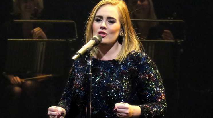 Adele ismét a gyerekvállaláson gondolkozik /Fotó: Northfoto