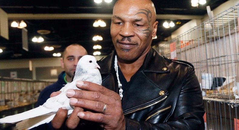 Mike Tyson doesn't think Conor McGregor has much of a chance against Floyd Mayweather.