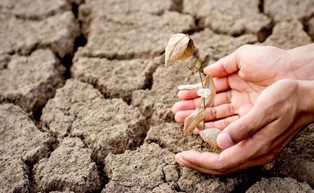 Światowa mapa zagrożenia suszą. Tym państwom grozi niedobór wody