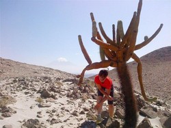 Gwiazda nie do zdarcia! Ekstremalna przygoda Beaty Sadowskiej