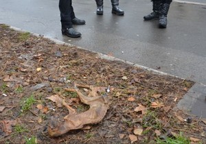 303506_ispecenamackamucenjezivotinjafotonenadmihajlovic