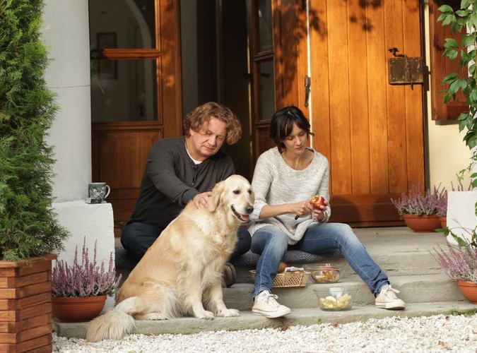 Ranking najpopularniejszych polskich seriali