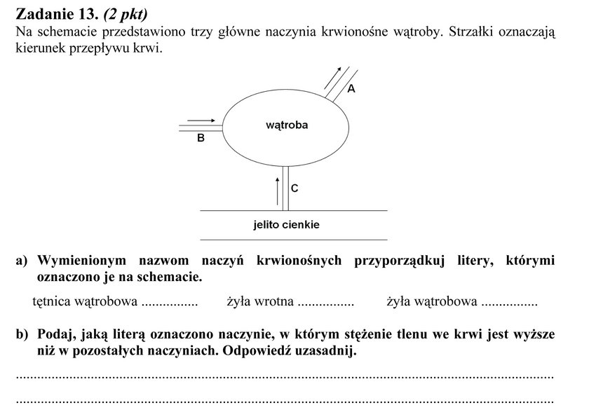 Arkusz maturalne z biologii, zadanie 13