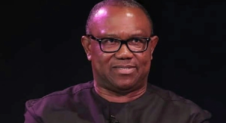 Peter Obi. [Vanguard]