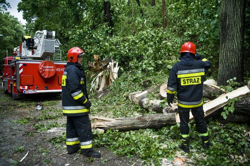 Trąba powietrzna na Pomorzu! Żywioł zrywał dachy i łamał drzewa jak zapałki