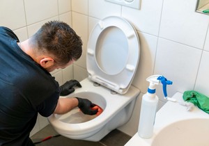 kamenac u WC šolji