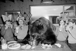 Przyjęcie świąteczne z udziałem gościa specjalnego – niedźwiadka Herkulesa – w szkole podstawowej w szkockim Dunblane, grudzień 1980 r.