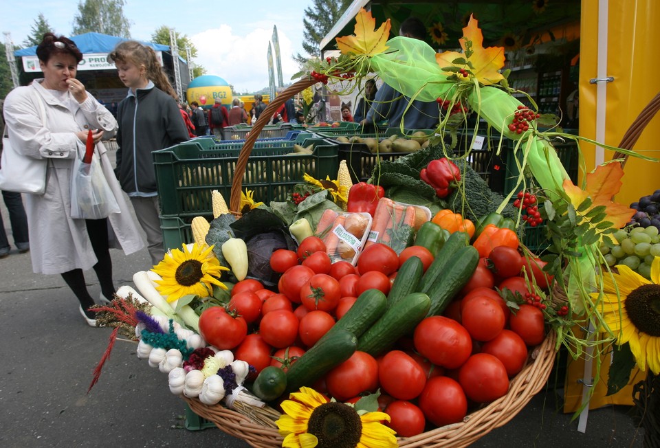 NAWOJOWA WYSTAWA ROLNICZA AGROPROMOCJA 2010