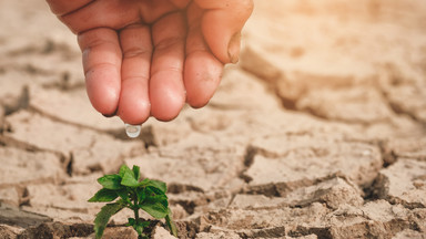 Lęk klimatyczny. "Martwię się o dzieci, wnuków chyba nie chcę"