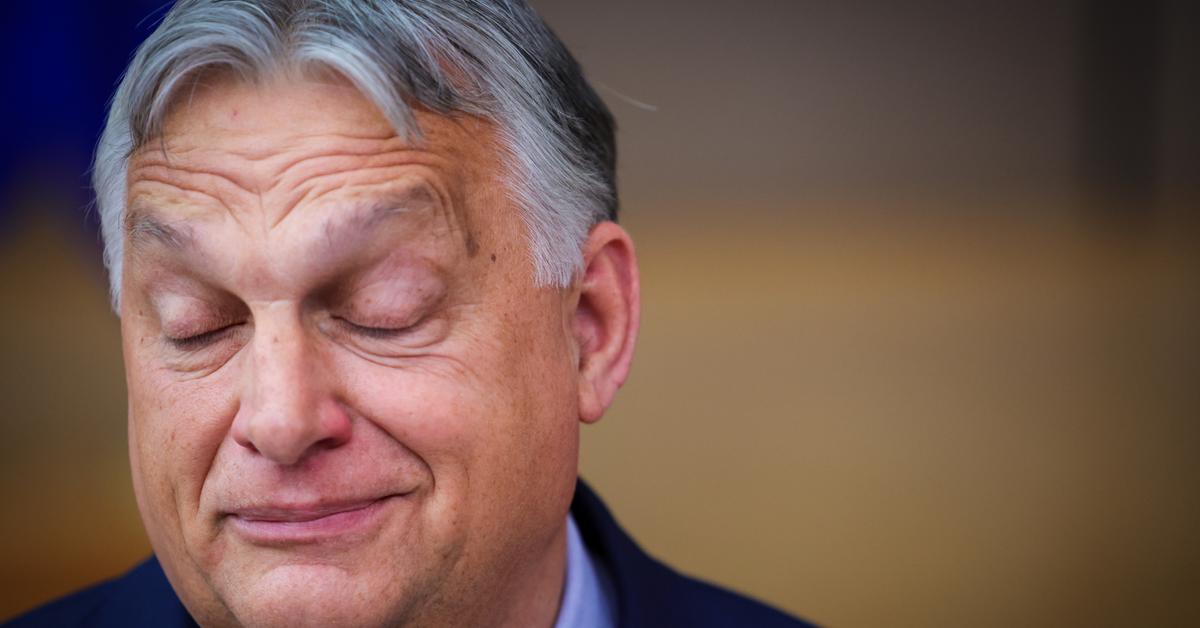  Viktor Orban ogłasza nowy sojusz polityczny. Kim są Patrioci dla Europy?